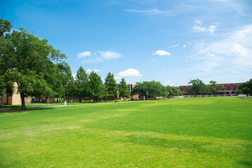 Grassy campus quad courtyard with several historic buildings in background, large meadow front yard...