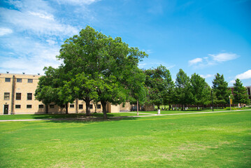 Grassy campus quad courtyard with several historic buildings in background, large meadow front yard...