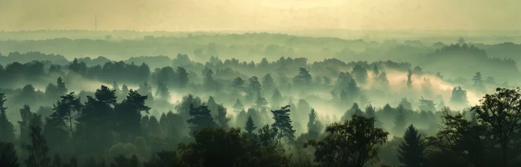 Rolgordijnen beautiful landscape of a foggy forest in the mist © Ivana