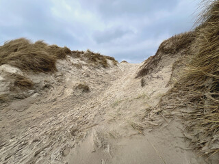 Trampelpfad über Sanddünen an der Nordsee 