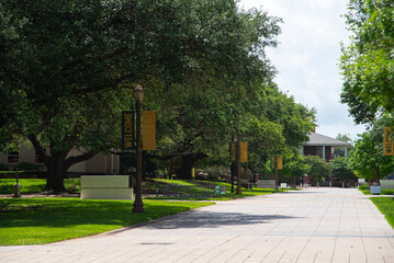 Large brick walkway with row of post light pole banners welcome Waco, Texas college campus, tree...