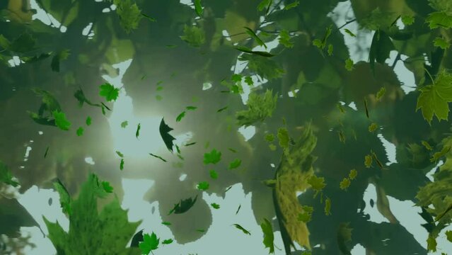 Animation of green leaves falling over trees