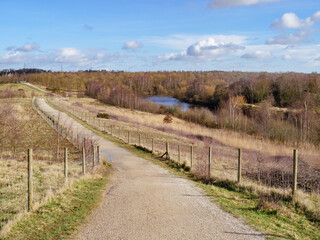 Path through Fairburn Ings Nature Reserve, West Yorkshire, England