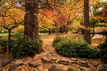 A Path in a Colorful Park in Autumn with Leaves of Gold and a Nature Trail through the Trees - 744842489