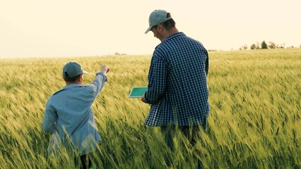 child kid baby son boy with father farmer working wheat field, agriculture, farmer with tablet...