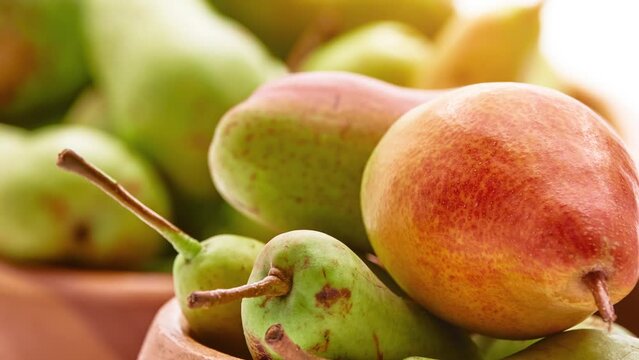 Gyration beautiful and delicious pears in a wooden bowl.