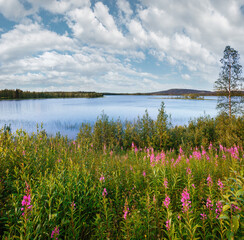 Tuinposter Lake summer view with pink flowers in front (Sweden).