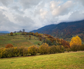 Obraz premium Cloudy and foggy day autumn mountains scene. Peaceful picturesque traveling, seasonal, nature and countryside beauty concept scene. Carpathian Mountains, Ukraine.