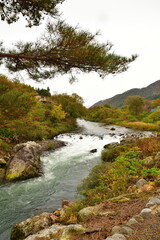 紅葉の胎内川（新潟県）