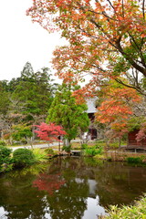Obraz premium 乙宝寺（新潟県）