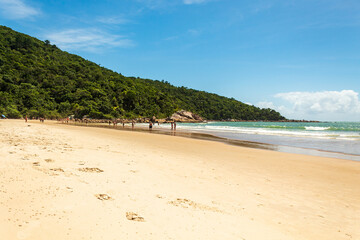 natureza da Praia Grande  Caravelas Governador Celso Ramos Santa Catarina Brasil