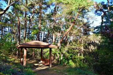 Naklejka premium 紅葉のじゅんさい池公園（新潟県）