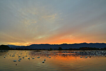 瓢湖と朝焼け（新潟県）