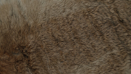 Animal and wildlife macro fur textures