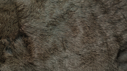 Animal and wildlife macro fur textures