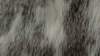 Animal and wildlife macro fur textures
