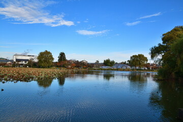Fototapeta premium 北山池公園と紅葉（新潟県）