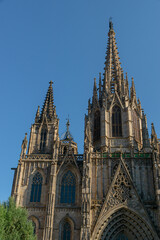 Fototapeta premium Cathedral of Barcelona 
