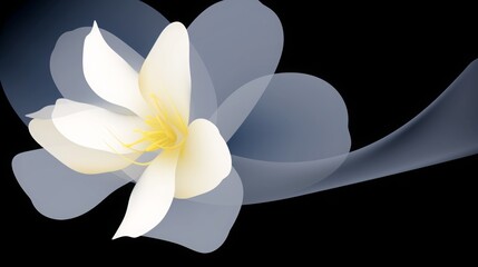 A beautiful minimalist translucent white and yellow flower on a black background
