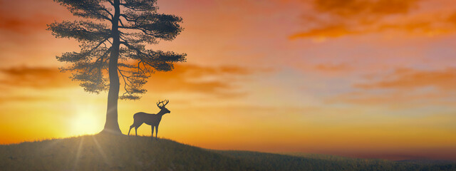 Sunset Silhouette: Lone Deer Under a Majestic Tree Against a Fiery Sky