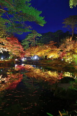 弥彦もみじ谷の紅葉ライトアップ（新潟県）