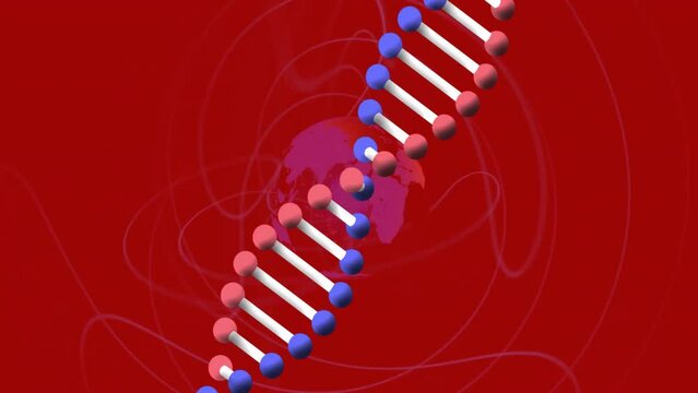 Animation of dna strand over globe on red background