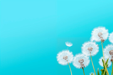 Dandelion seeds against a clear blue sky, symbolizing change and resilience.