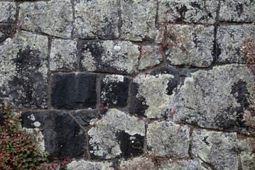 Natural background pattern, old rock wall as a rough background of old moss covered stones 