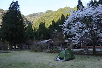 すぎのこキャンプ場