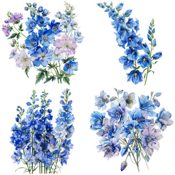 Delphinium Flowers set watercolor isolated on white background