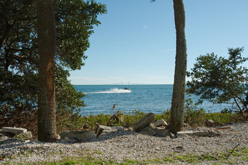 Fototapeta na wymiar View from Bay Vista Park framed between two palm trees towards Tampa Bay with a small speed boat man rider and Sunshine Skyway Bridge in the middle of the background. Blue sky with room for copy.