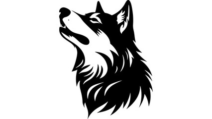 Black and White Animals