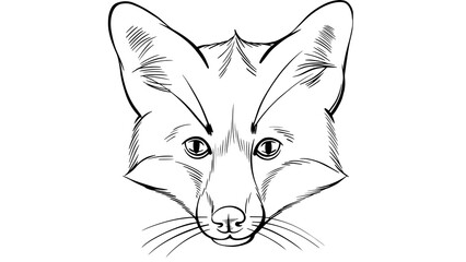 Black and White Animals