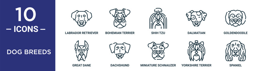 dog breeds outline icon set includes thin line labrador retriever, shih tzu, goldendoodle, dachshund, yorkshire terrier, spaniel, great dane icons for report, presentation, diagram, web design - obrazy, fototapety, plakaty