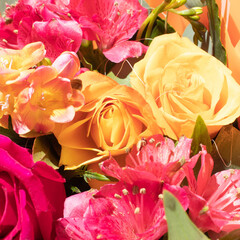 A bouquet of multicolored flowers on an orange background. Close-up
