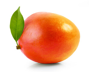 fresh ripe mango fruit