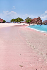Komodo - Pink Beach