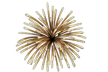 Naklejka premium fireworks isolated on white
