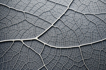 Abstract macro plant, textured pattern: Closeup of leaf veins in nature's detailed foliage, a vibrant organic backdrop.