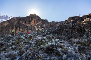 Conquering the Barranco Wall: An Ascent into Kilimanjaro’s Heart