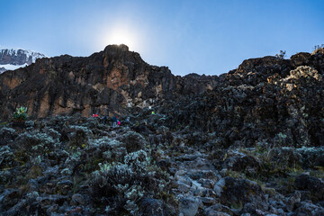 Conquering the Barranco Wall: An Ascent into Kilimanjaro’s Heart