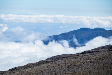 Serene Summit: Tranquility Above the Clouds
