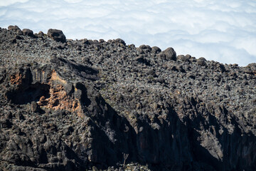 Obraz premium Majestic Mountain Peaks Above the Clouds