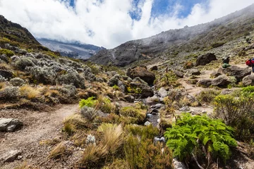 Lichtdoorlatende rolgordijnen Kilimanjaro A Breathtaking Hike Through Kilimanjaro’s Rugged Terrain