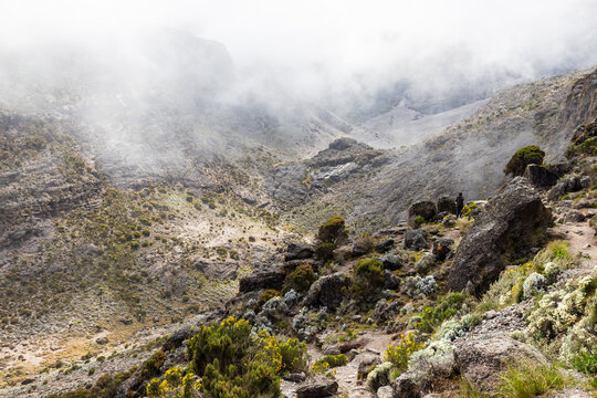 Mystic Trails of Mt. Kilimanjaro Unveiled