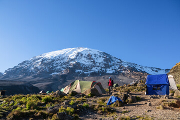 Morning Light on Kilimanjaro: A View from Karanga Camp