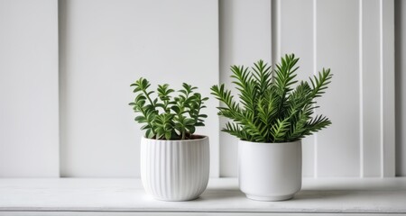  Bring life to your space with these vibrant green plants in stylish white vases