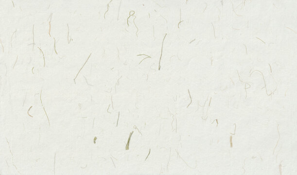 Kraft unique organic paper texture with detailed palm fibers