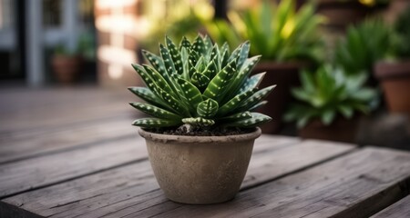  Bringing nature indoors with a touch of green