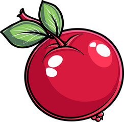 Cranberry Craze Unraveling the Mysteries Behind Nature Tangy Superfruit